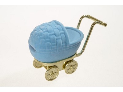 Blue Stroller for kids