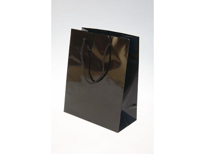 Big Shining Black Bags